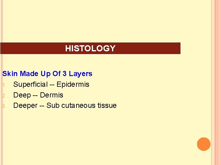 HISTOLOGY Skin Made Up Of 3 Layers 1. Superficial -- Epidermis 2. Deep --