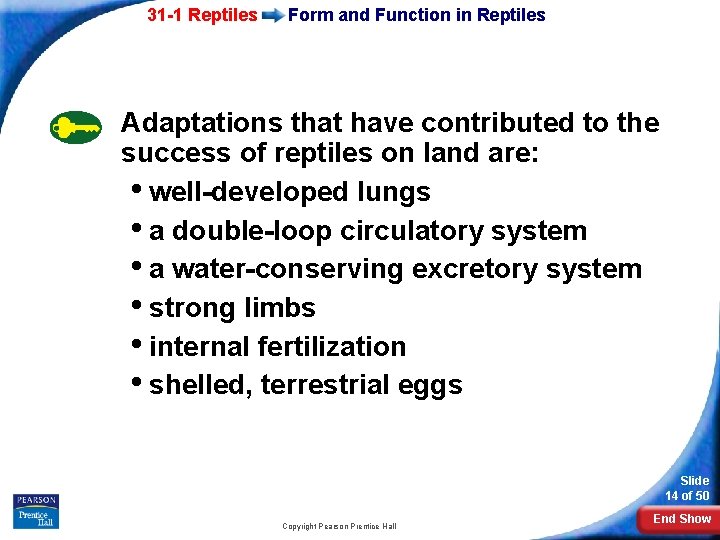 31 -1 Reptiles Form and Function in Reptiles Adaptations that have contributed to the