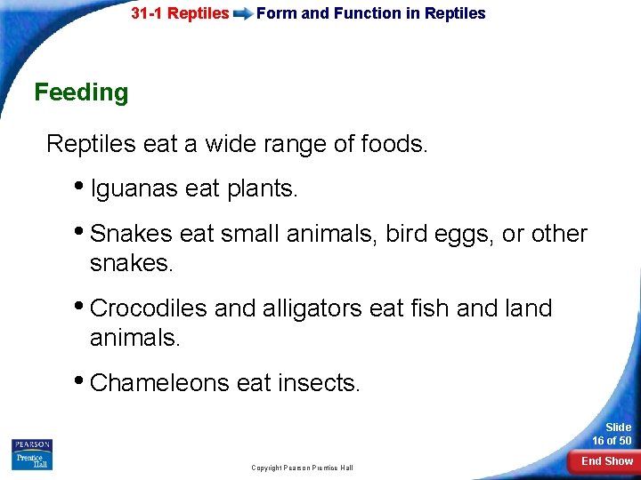 31 -1 Reptiles Form and Function in Reptiles Feeding Reptiles eat a wide range