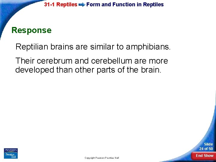 31 -1 Reptiles Form and Function in Reptiles Response Reptilian brains are similar to
