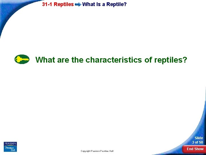 31 -1 Reptiles What Is a Reptile? What are the characteristics of reptiles? Slide
