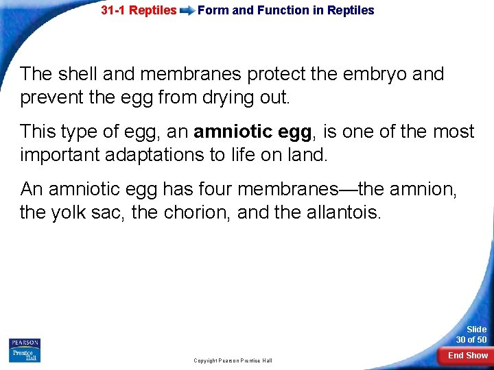 31 -1 Reptiles Form and Function in Reptiles The shell and membranes protect the