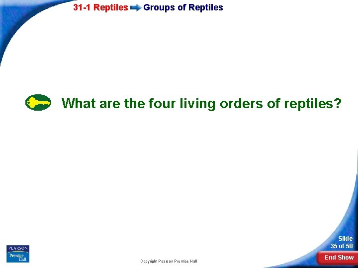 31 -1 Reptiles Groups of Reptiles What are the four living orders of reptiles?
