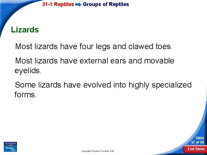 31 -1 Reptiles Groups of Reptiles Lizards Most lizards have four legs and clawed