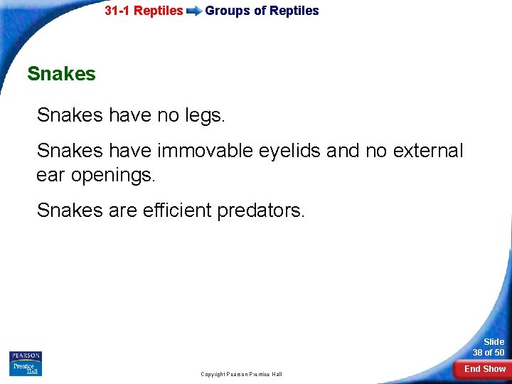 31 -1 Reptiles Groups of Reptiles Snakes have no legs. Snakes have immovable eyelids