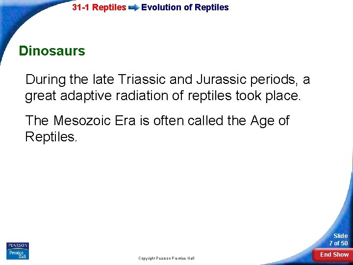 31 -1 Reptiles Evolution of Reptiles Dinosaurs During the late Triassic and Jurassic periods,