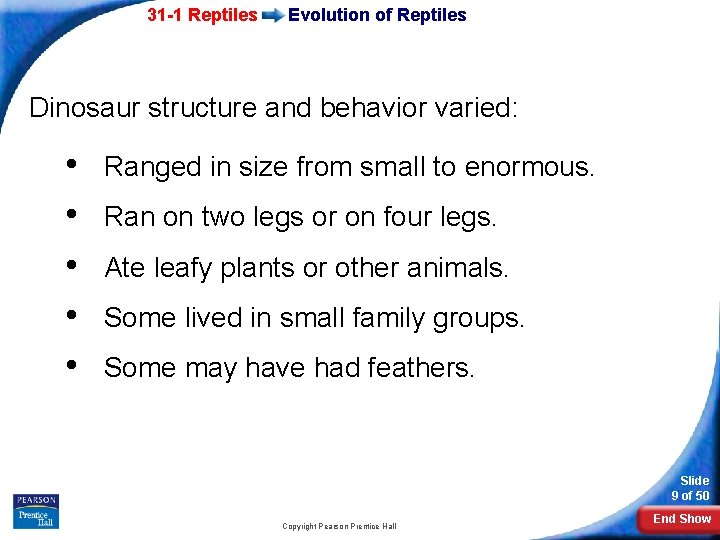 31 -1 Reptiles Evolution of Reptiles Dinosaur structure and behavior varied: • • •