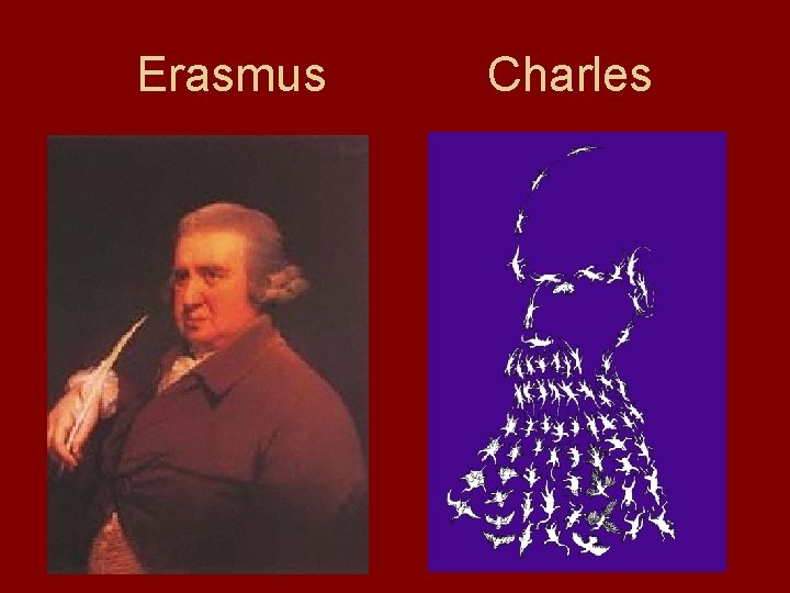 Erasmus Charles 