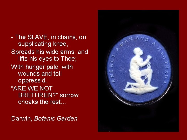 - The SLAVE, in chains, on supplicating knee, Spreads his wide arms, and lifts