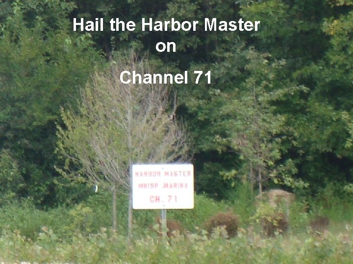 Hail the Harbor Master on Channel 71 