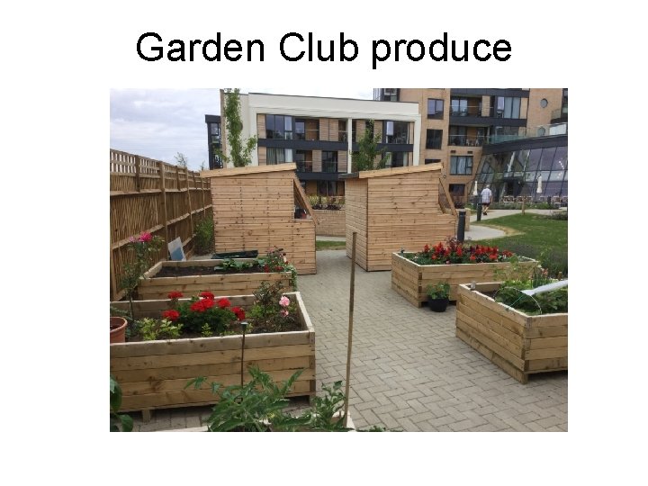 Garden Club produce 