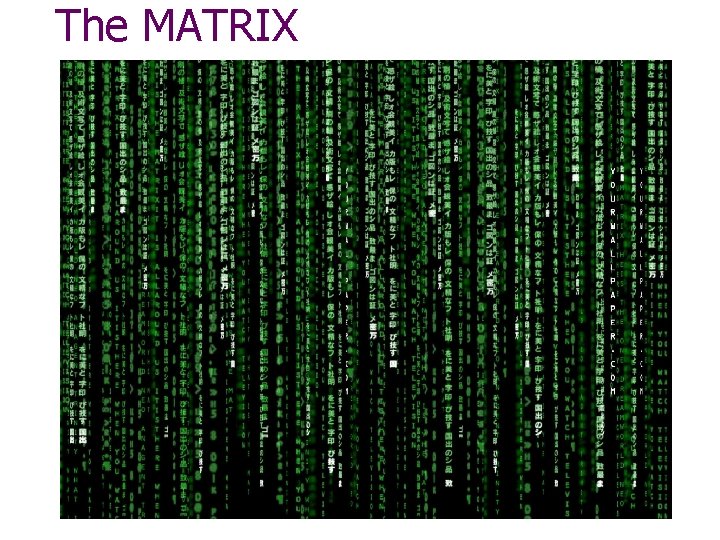 The MATRIX 