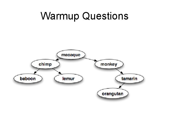 Warmup Questions 