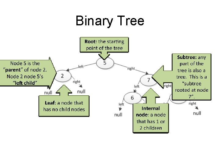 Binary Tree 