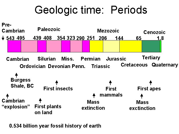 Geologic time: Periods Pre. Cambrian 543 495 Paleozoic 439 408 Mezozoic 354 323 290