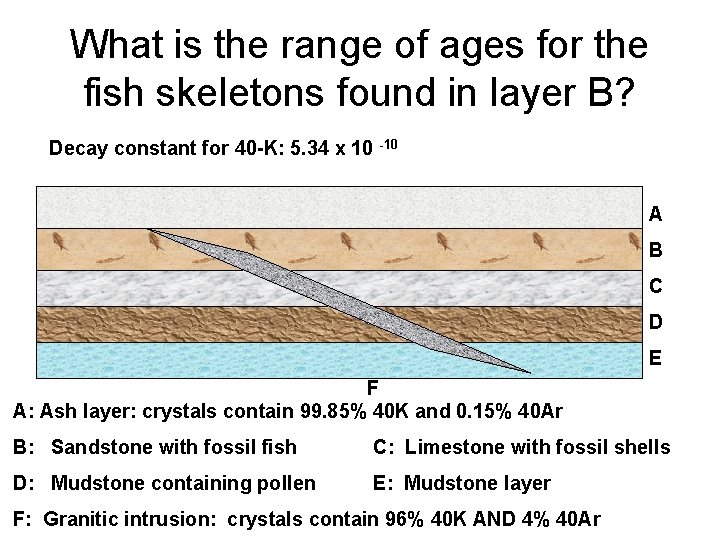 What is the range of ages for the fish skeletons found in layer B?