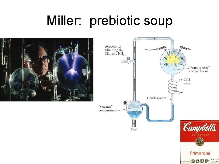 Miller: prebiotic soup 