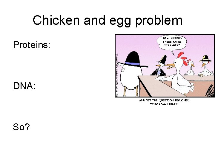 Chicken and egg problem Proteins: DNA: So? 