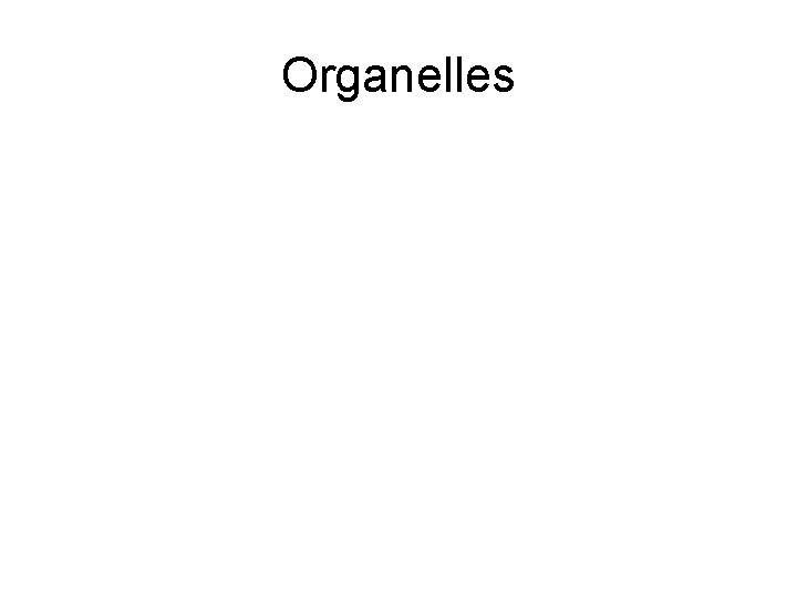 Organelles 