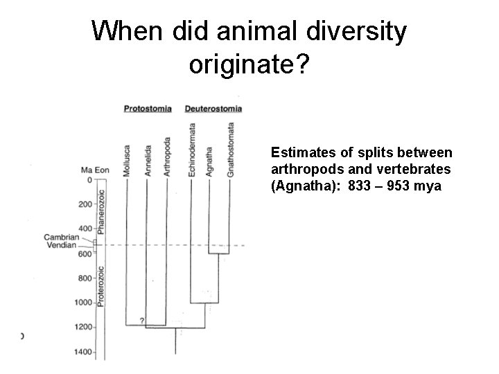 When did animal diversity originate? Estimates of splits between arthropods and vertebrates (Agnatha): 833