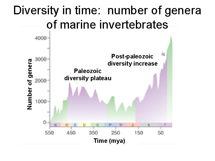Number of genera Diversity in time: number of genera of marine invertebrates Post-paleozoic diversity