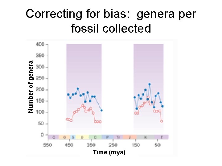 Number of genera Correcting for bias: genera per fossil collected Time (mya) 