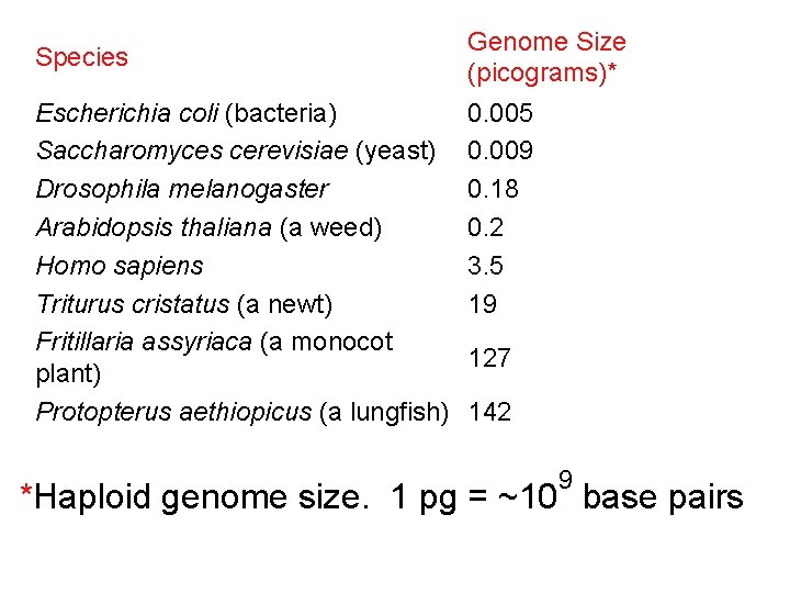 Species Escherichia coli (bacteria) Saccharomyces cerevisiae (yeast) Drosophila melanogaster Arabidopsis thaliana (a weed) Homo