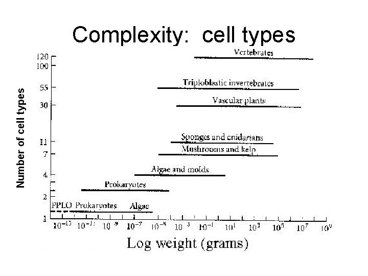 Number of cell types Complexity: cell types 