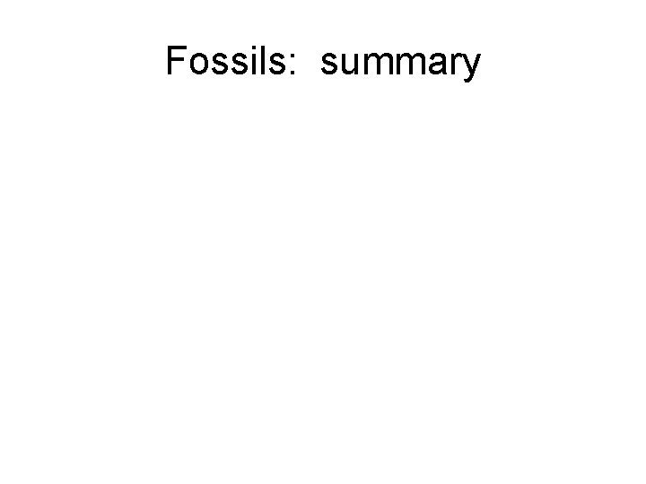 Fossils: summary 