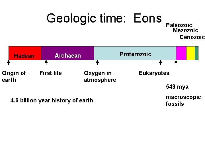 Geologic time: Eons Hadean Origin of earth Proterozoic Archaean First life Paleozoic Mezozoic Cenozoic