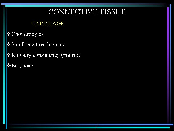 CONNECTIVE TISSUE CARTILAGE v. Chondrocytes v. Small cavities- lacunae v. Rubbery consistency (matrix) v.