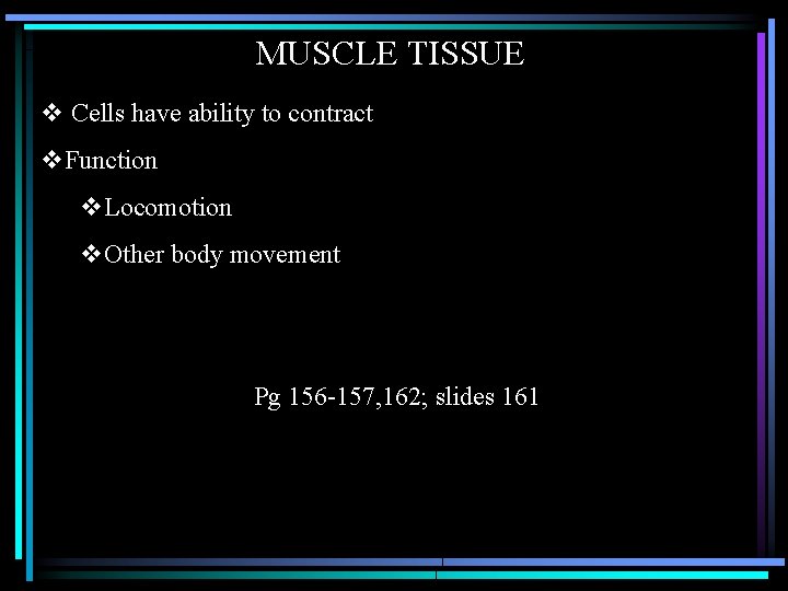 MUSCLE TISSUE v Cells have ability to contract v. Function v. Locomotion v. Other