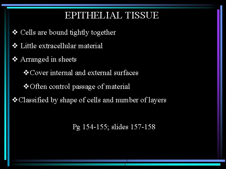 EPITHELIAL TISSUE v Cells are bound tightly together v Little extracellular material v Arranged