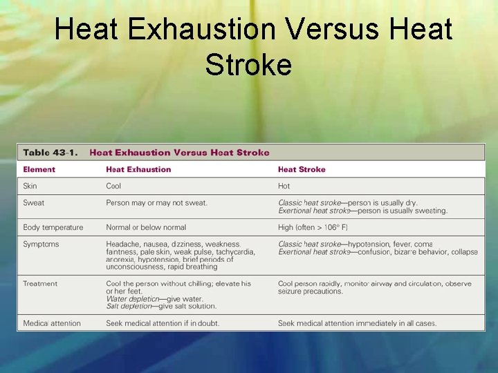  Heat Exhaustion Versus Heat Stroke 