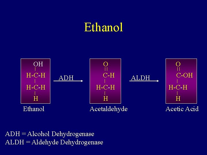 Ethanol OH H-C-H H Ethanol O ADH C-H H-C-H H Acetaldehyde ADH = Alcohol