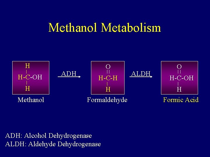 Methanol Metabolism H H-C-OH H Methanol ADH O H-C-H H Formaldehyde ADH: Alcohol Dehydrogenase