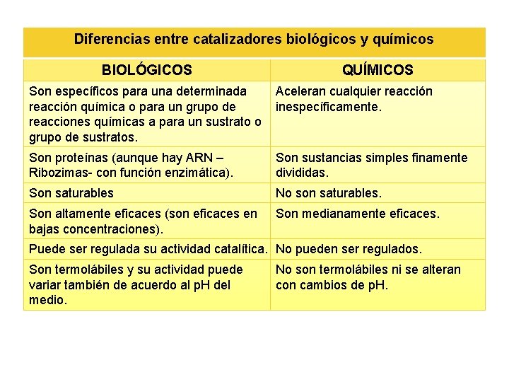 Diferencias entre catalizadores biológicos y químicos BIOLÓGICOS QUÍMICOS Son específicos para una determinada Aceleran