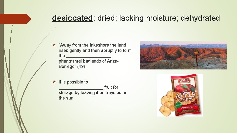 desiccated: dried; lacking moisture; dehydrated “Away from the lakeshore the land rises gently and