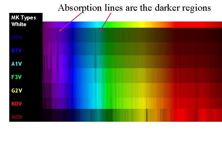 Absorption lines are the darker regions MK Types White O 5 V B 1
