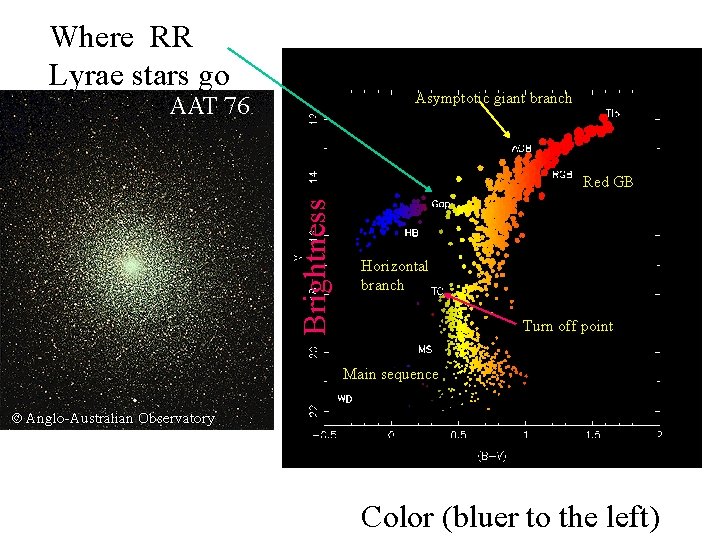 Where RR Lyrae stars go Asymptotic giant branch Brightness Red GB Horizontal branch Turn