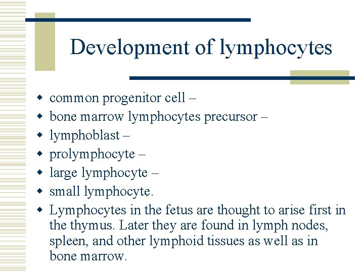 Development of lymphocytes w w w w common progenitor cell – bone marrow lymphocytes