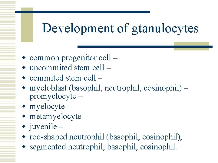 Development of gtanulocytes w w w w w common progenitor cell – uncommited stem