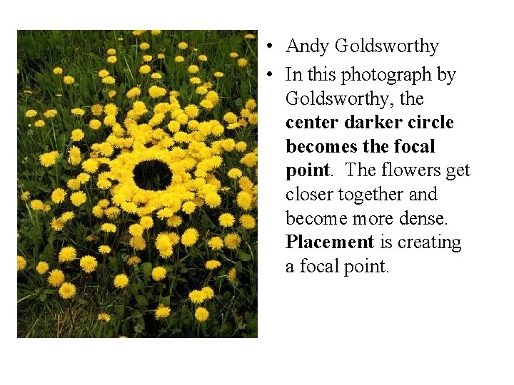  • Andy Goldsworthy • In this photograph by Goldsworthy, the center darker circle