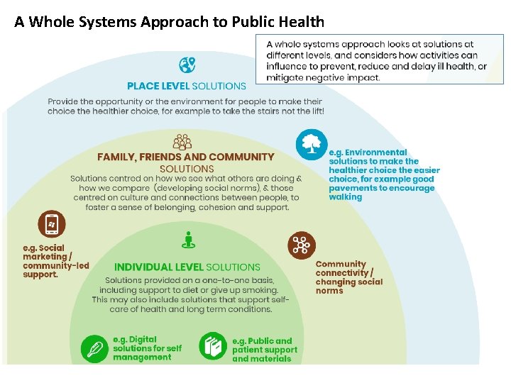 A Whole Systems Approach to Public Health 