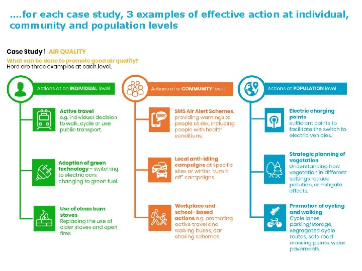 …. for each case study, 3 examples of effective action at individual, community and
