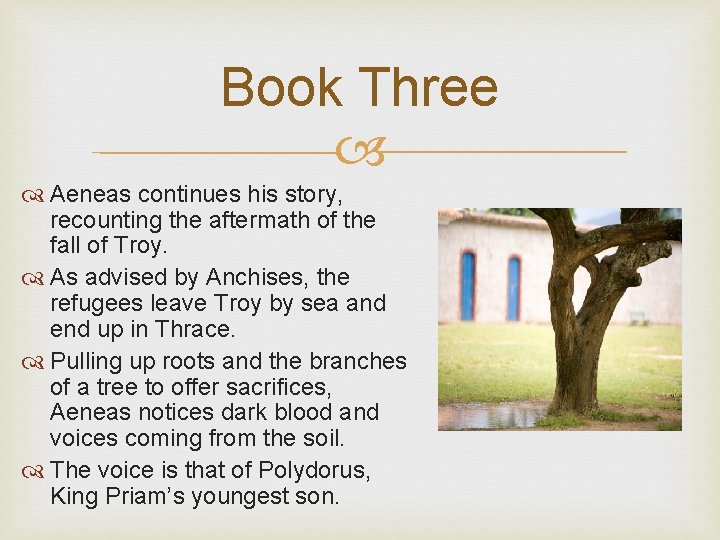 Book Three Aeneas continues his story, recounting the aftermath of the fall of Troy.