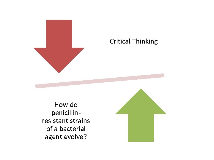 Critical Thinking How do penicillinresistant strains of a bacterial agent evolve? 