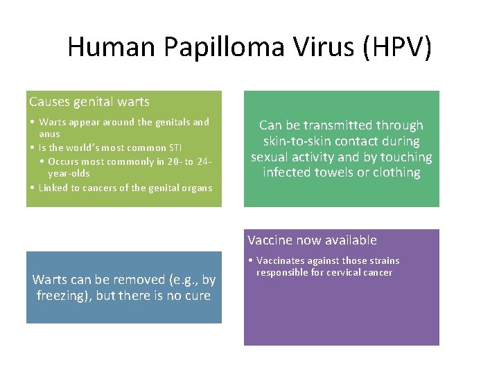 Human Papilloma Virus (HPV) Causes genital warts • Warts appear around the genitals and
