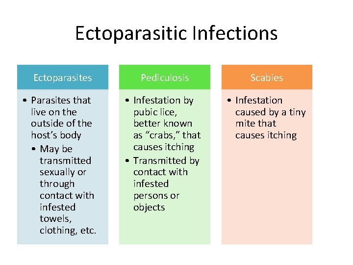 Ectoparasitic Infections Ectoparasites Pediculosis Scabies • Parasites that live on the outside of the