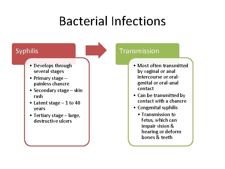 Bacterial Infections Syphilis • Develops through several stages • Primary stage – painless chancre